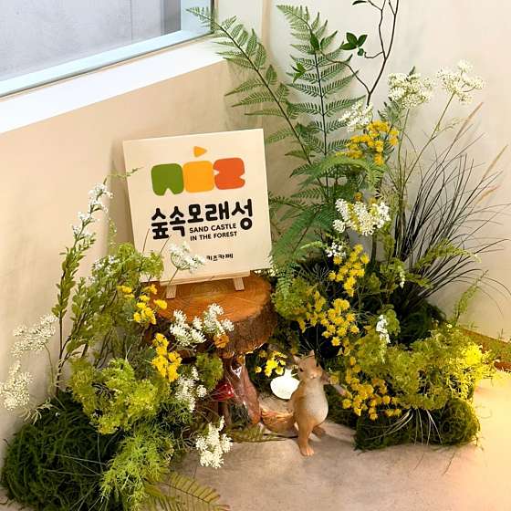 숲속모래성키즈카페노원 이미지