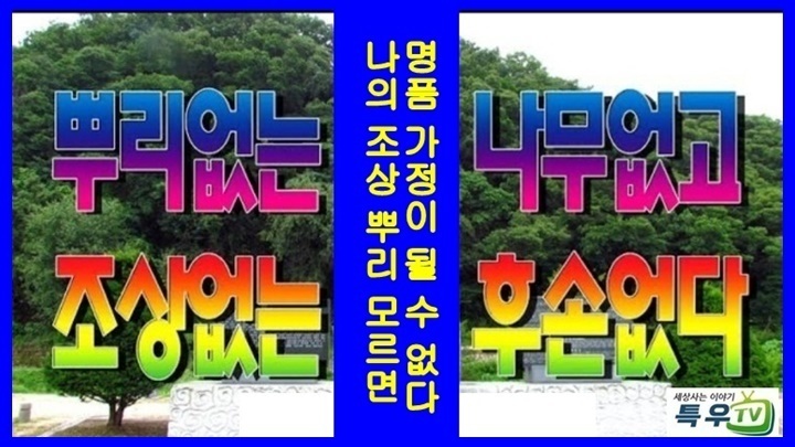 우성농협주유소 이미지