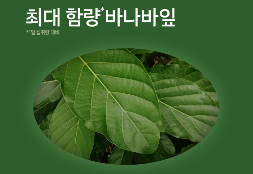 #혈당관리 #추석선물대첩 바나바잎 플러스 크롬으로 식후 혈당을 케어해요! 이미지 5
