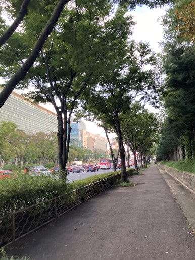 지캣기타 이미지