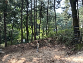 오패산 유아숲체험원 이미지