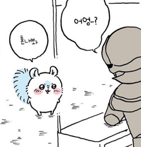 모몽가 이미지