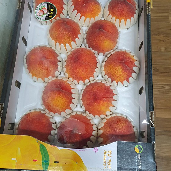 아아프룻 이미지
