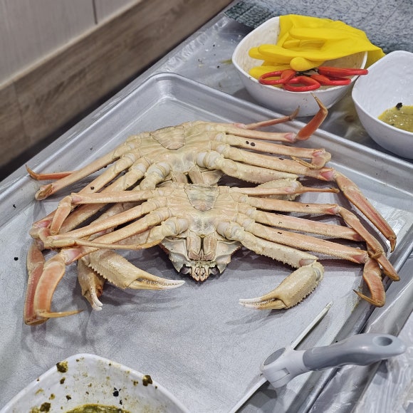 오대양시스템 이미지
