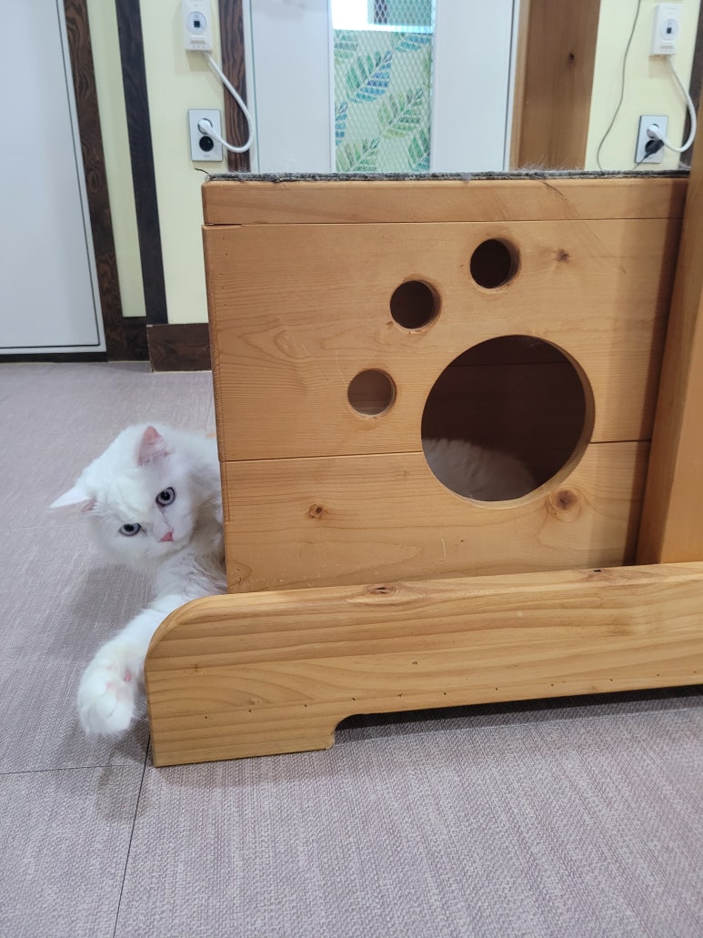 호텔하루 이미지