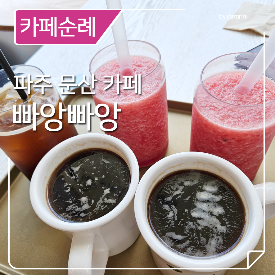 빠앙빠앙 이미지
