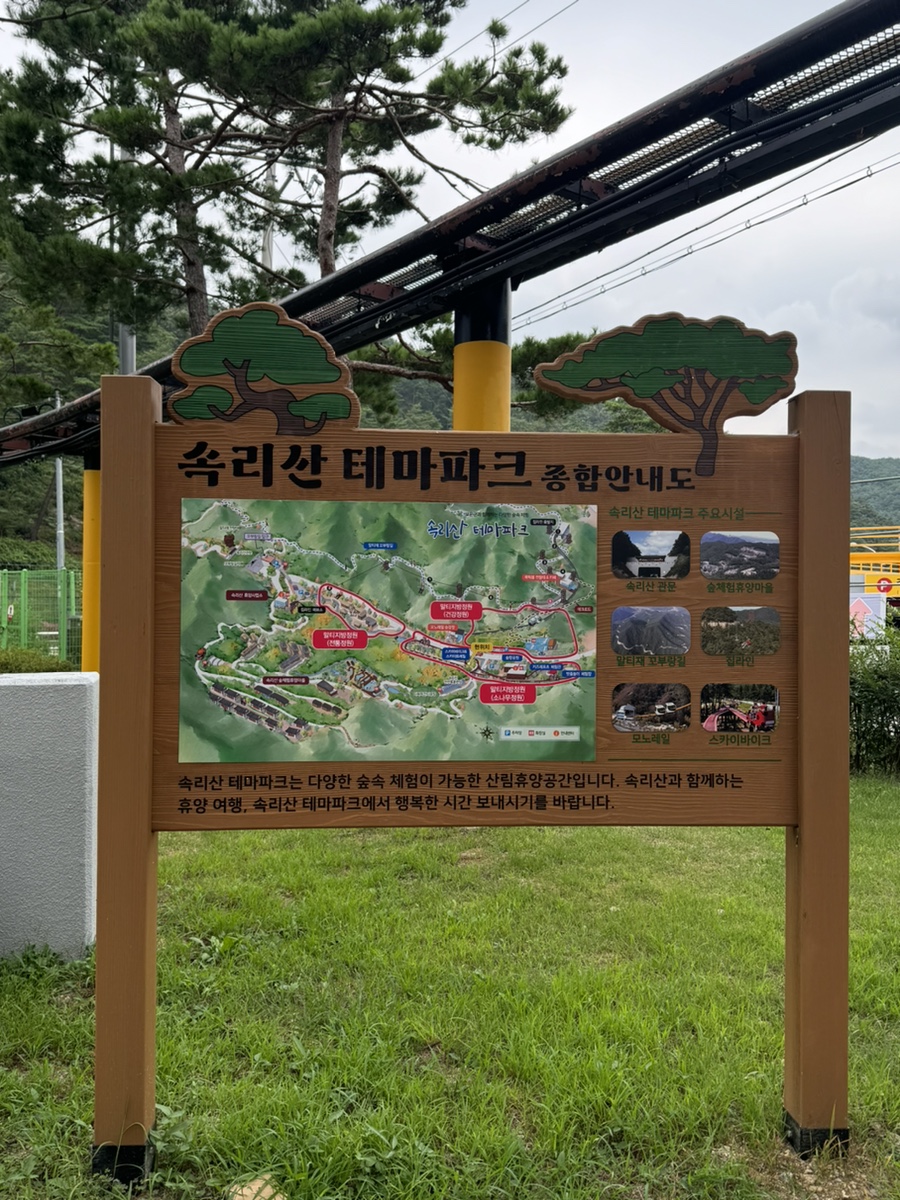 솔향공원 스카이바이크 시설 이미지