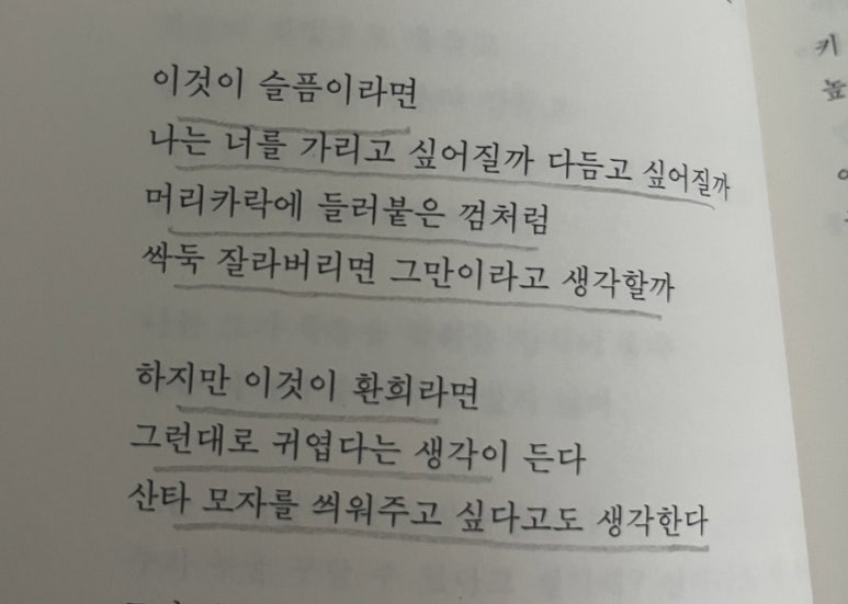 사바아사나 이미지
