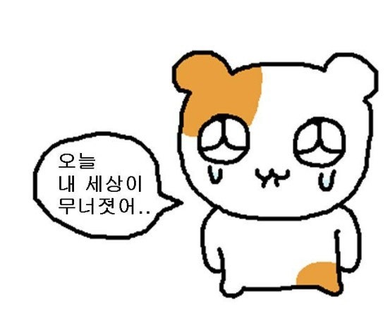 와이아이엔 이미지