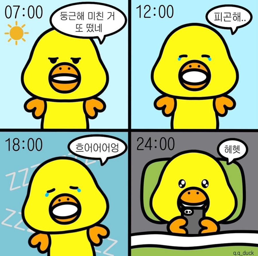 빠삐코 이미지