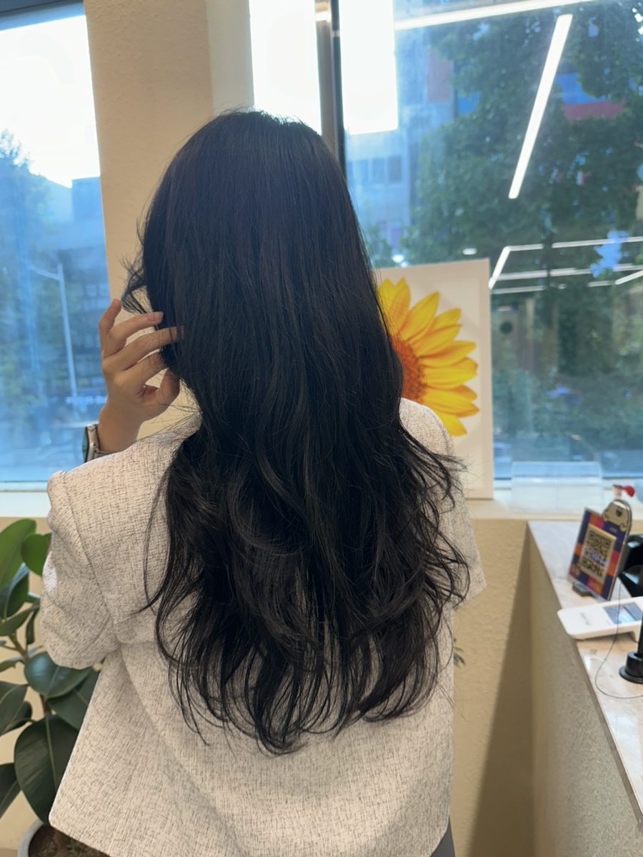 아브헤어 이미지