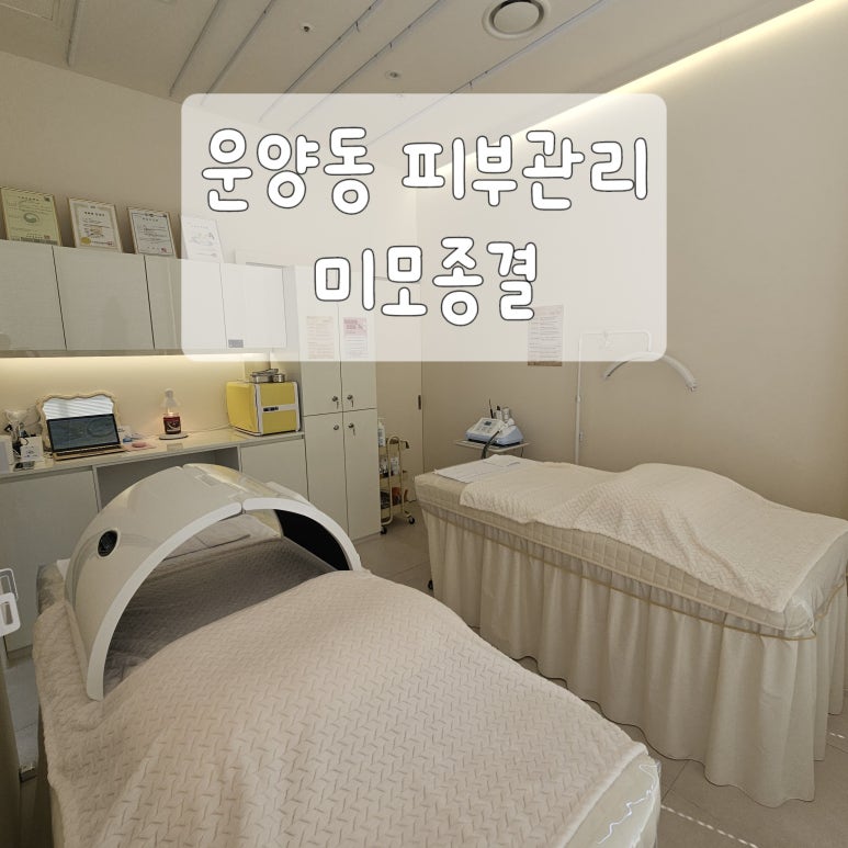 미모종결 이미지