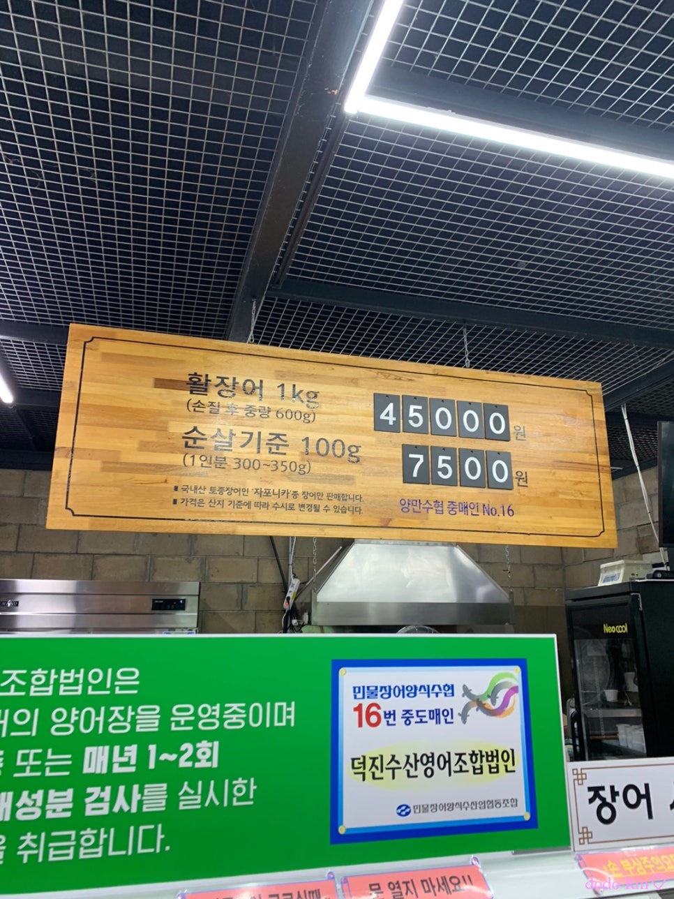 여자만장어 이미지