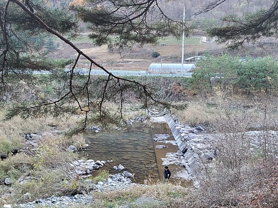 회동솔향캠핑장 이미지