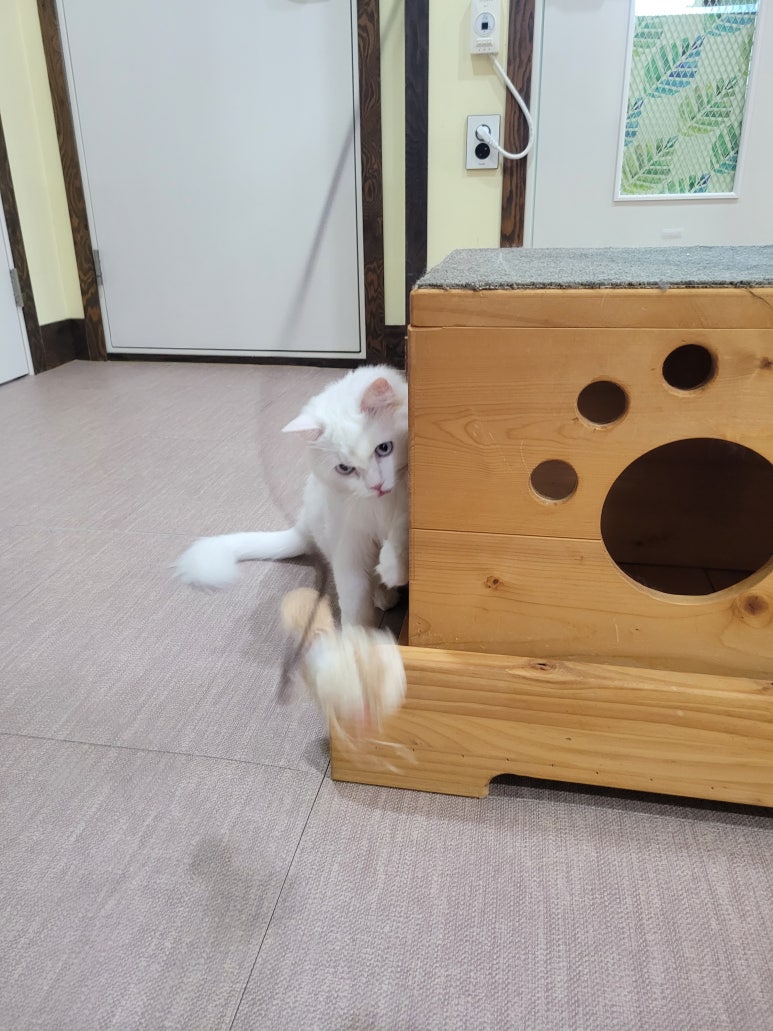 호텔하루 이미지