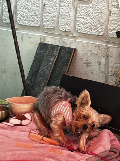 경성면옥 서산수석점 이미지