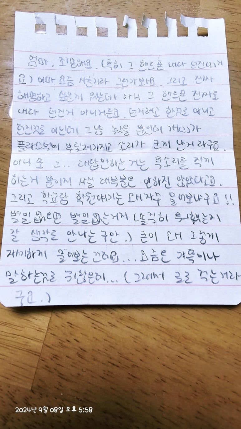 해명장 이미지