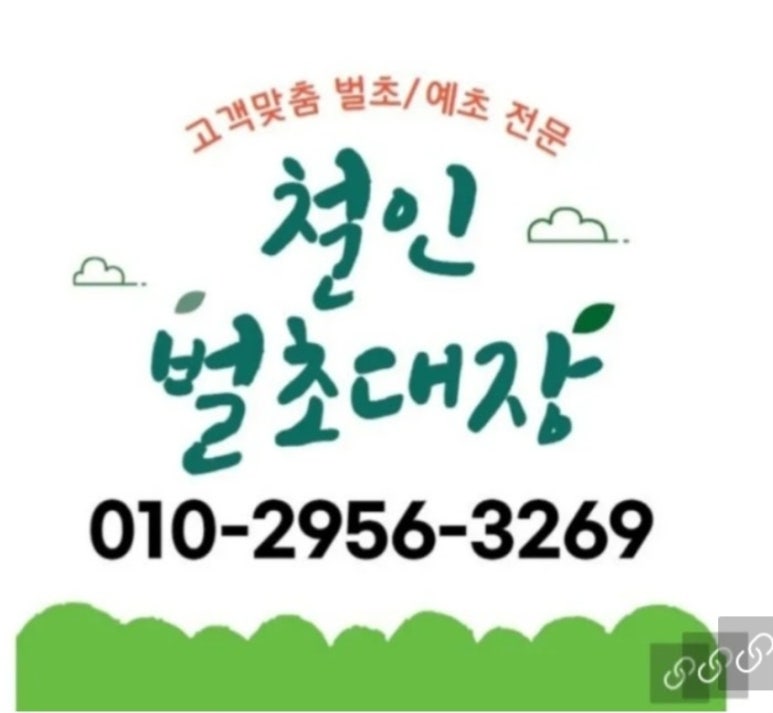 철인벌초대장 이미지