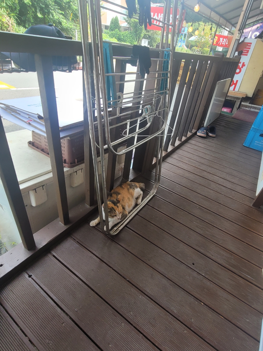 태상굴장어구이 이미지
