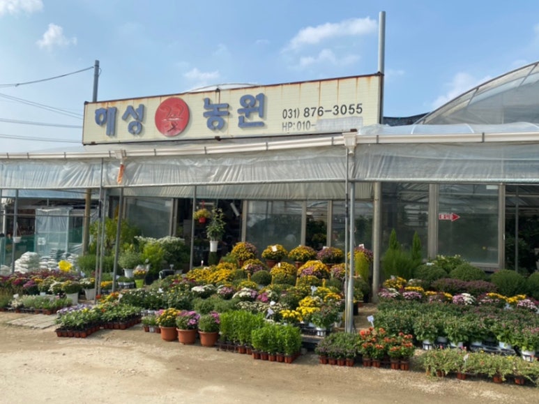 꽃단지농원 이미지