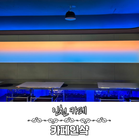 카페인샼 이미지
