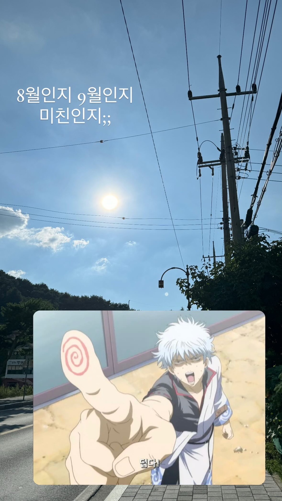 쨈스터 이미지