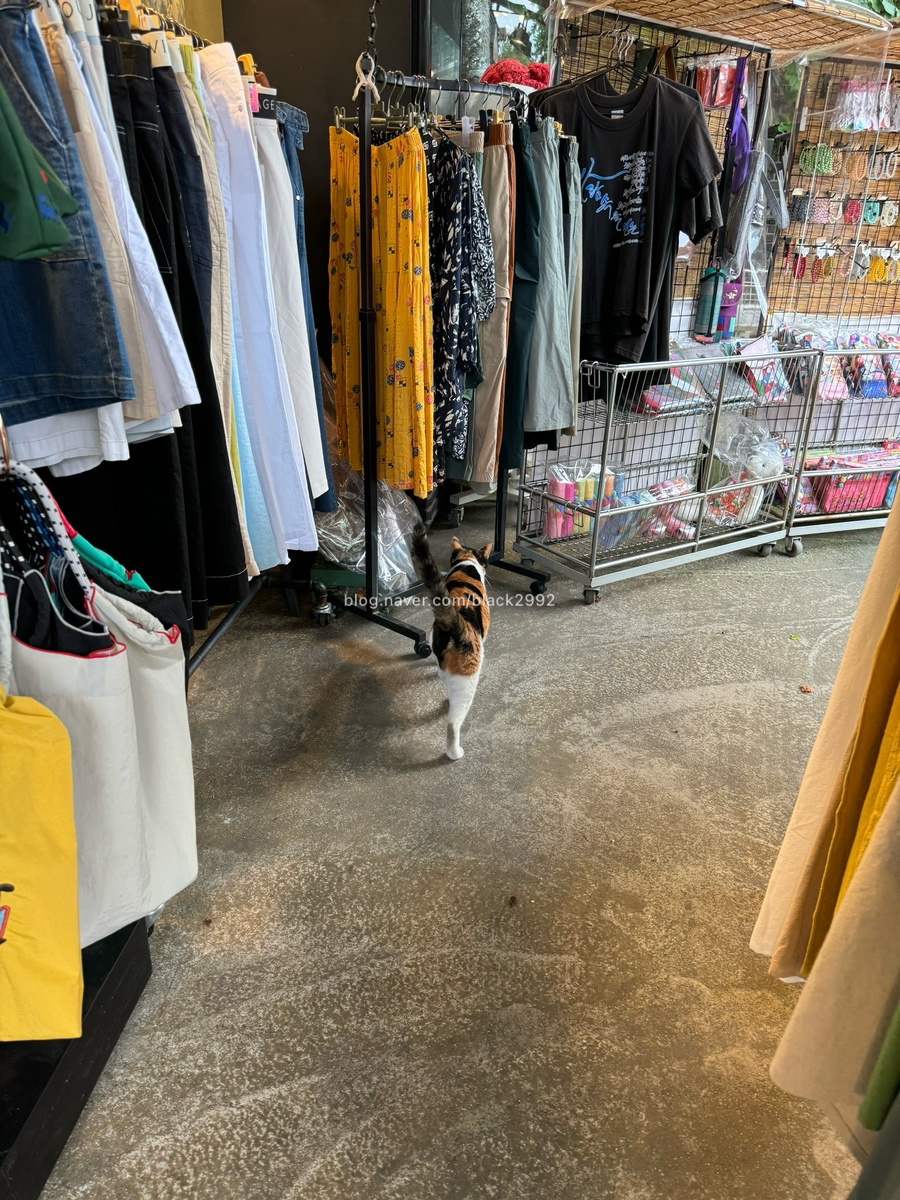 예하도예 이미지