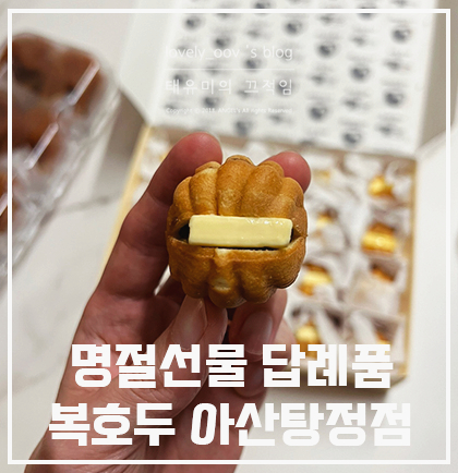 복호두아산 이미지