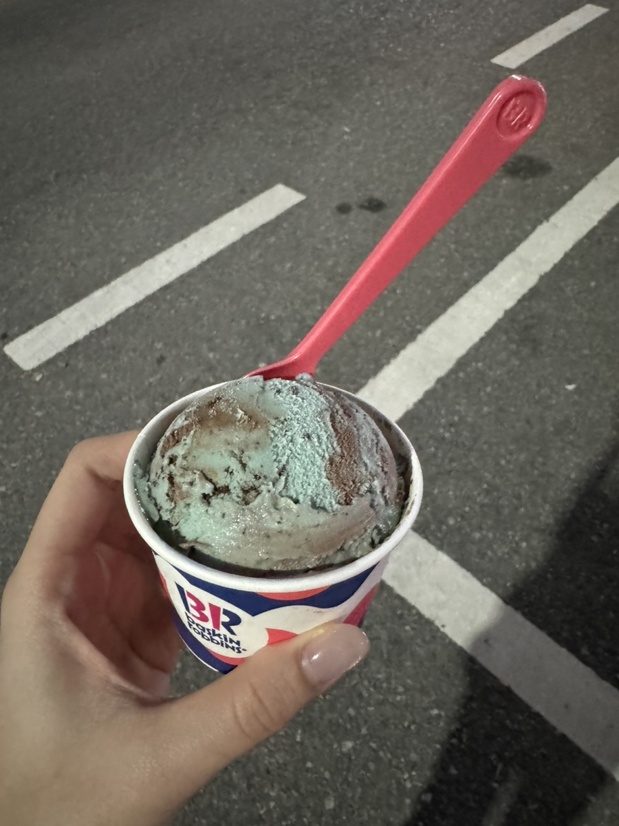 배스킨라빈스보성점 이미지