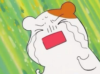 사계절에꽃 이미지