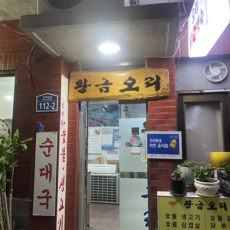 황금오리 사진 6