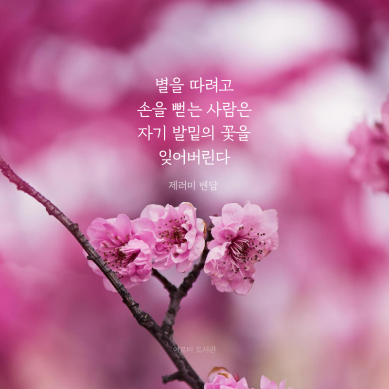 여기그리고지금 이미지