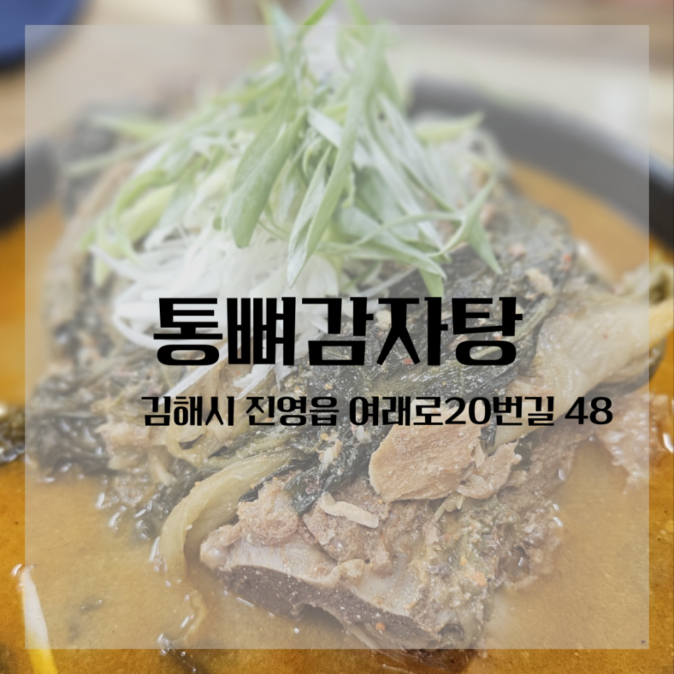 통뼈감자탕진영점 이미지