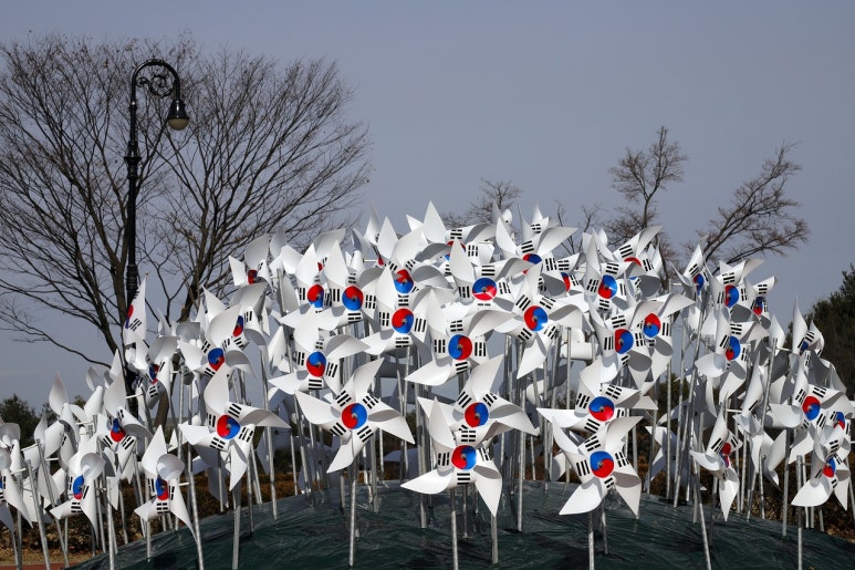 꽂다 이미지
