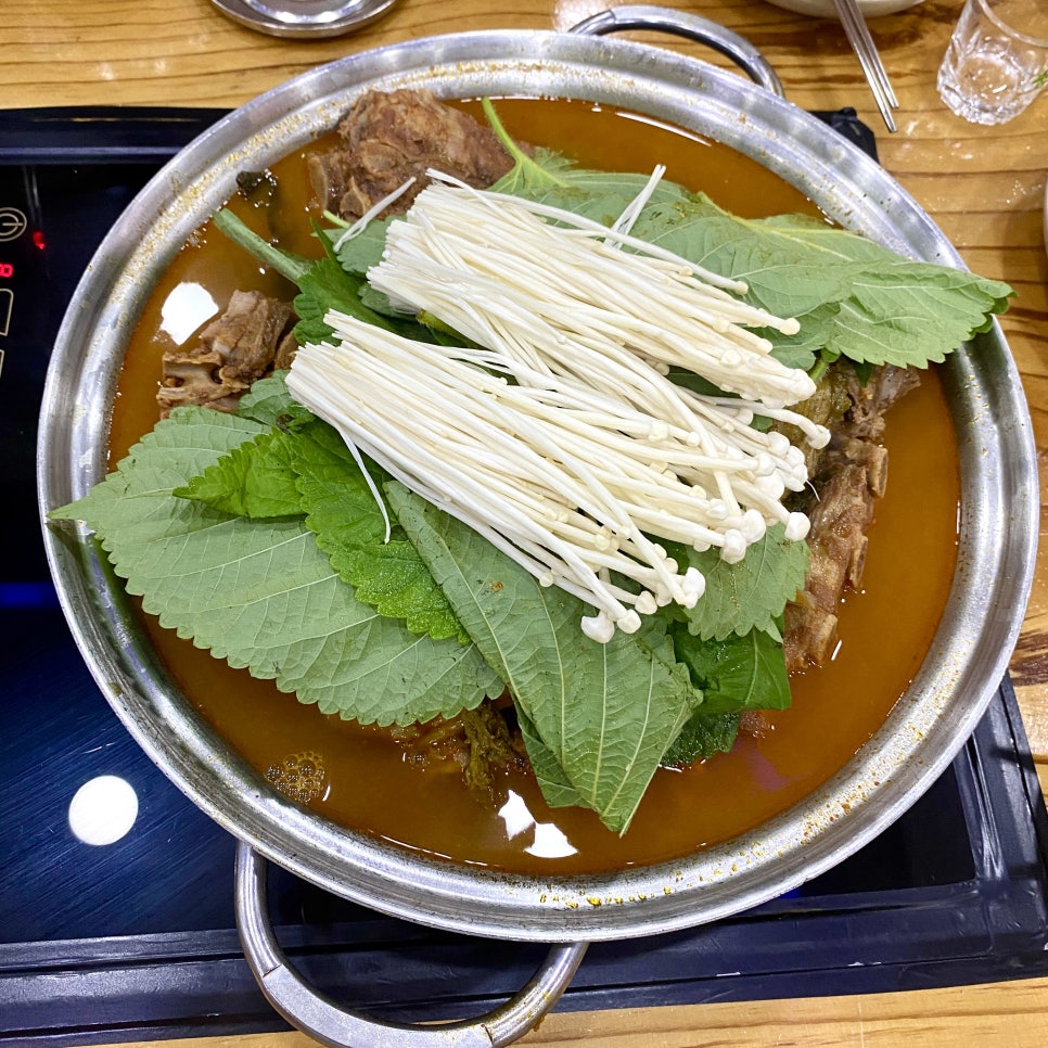 양천뼈다귀 이미지