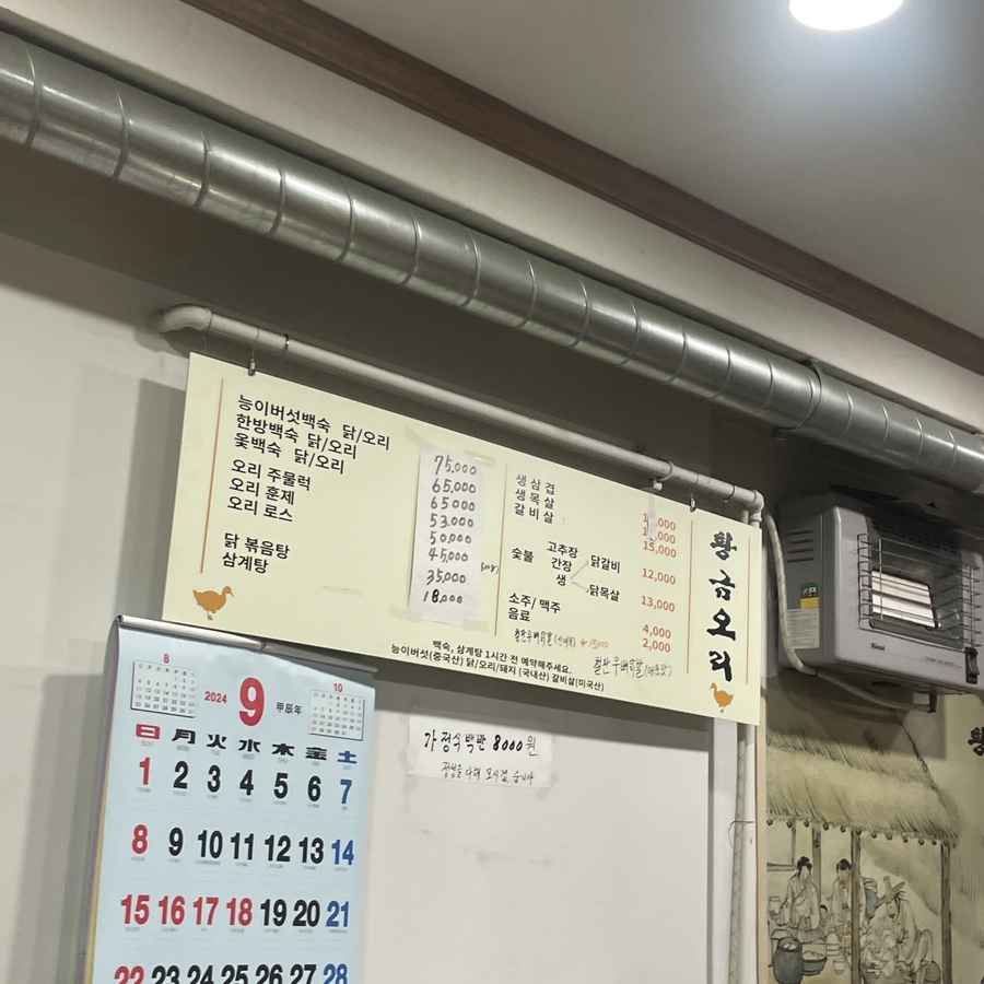 황금오리 사진 8