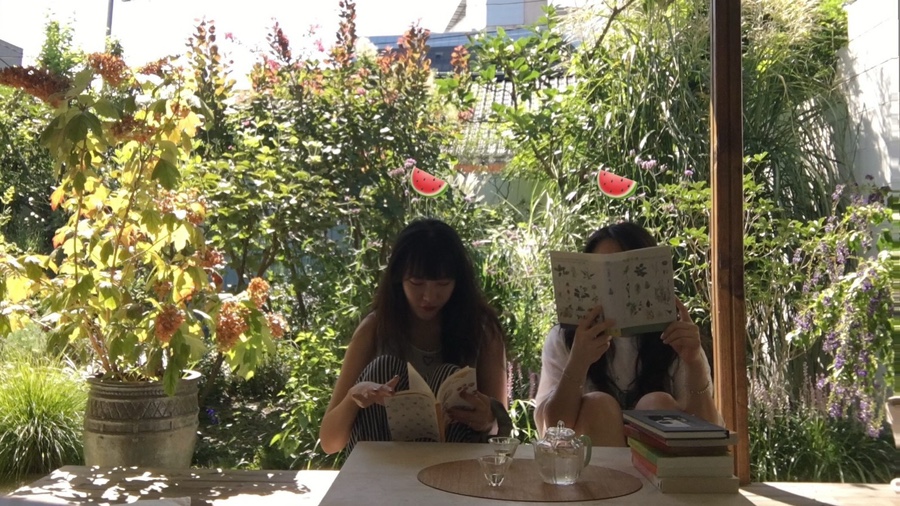 보배원 이미지