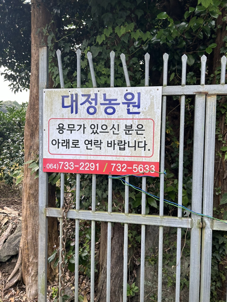 대정농원 사진 5