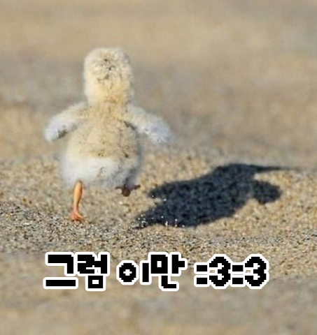 천우정육식당 이미지