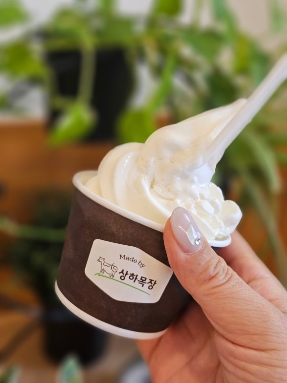 상아냉동 이미지