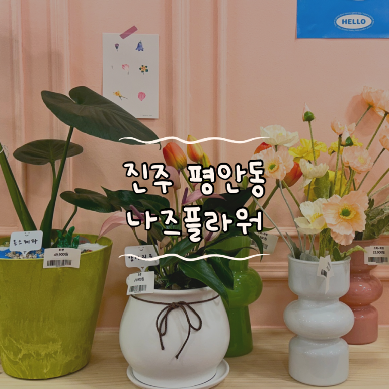 나즈플라워 이미지