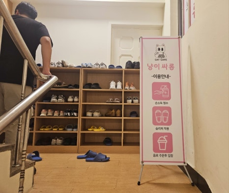냥이싸롱 이미지
