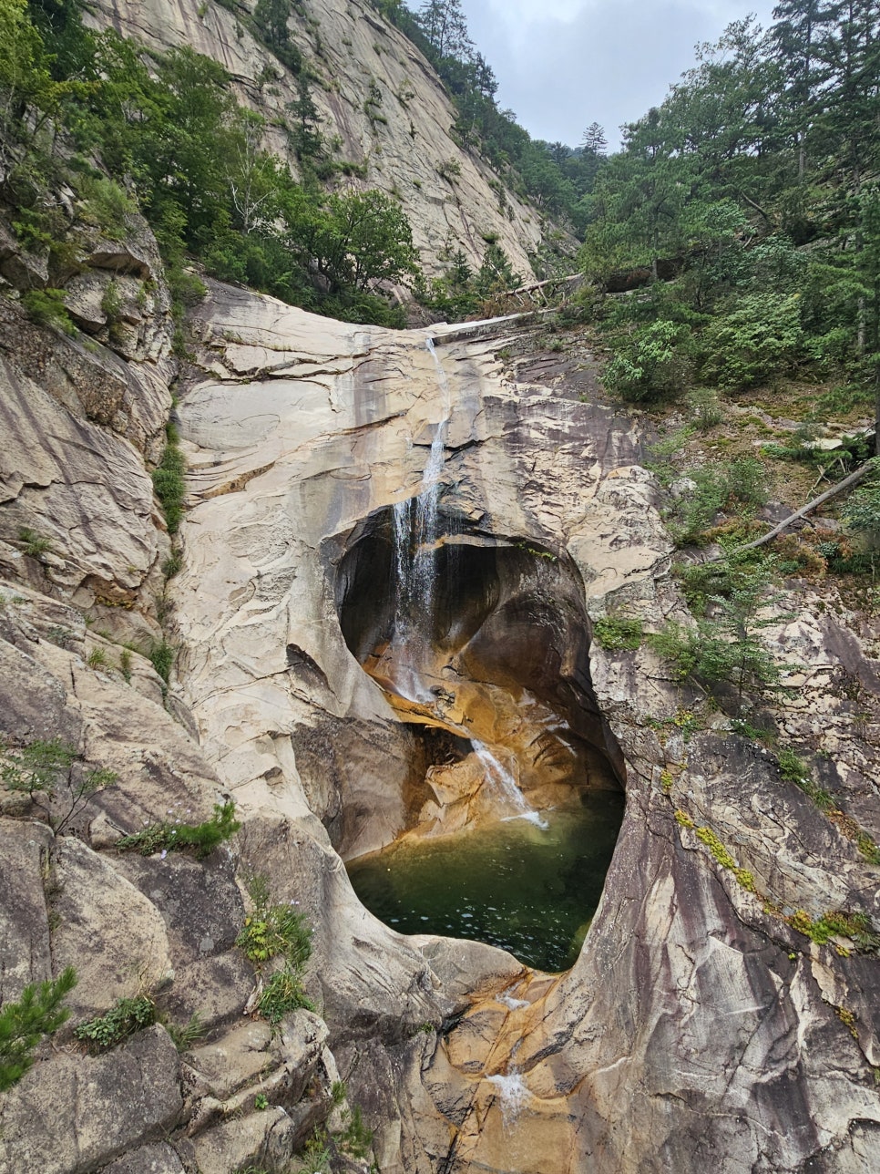 십이선녀탕 이미지