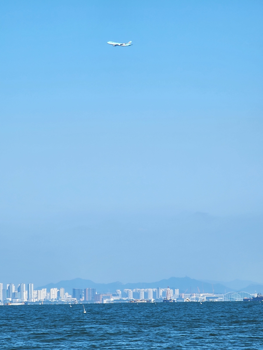 인풀 이미지