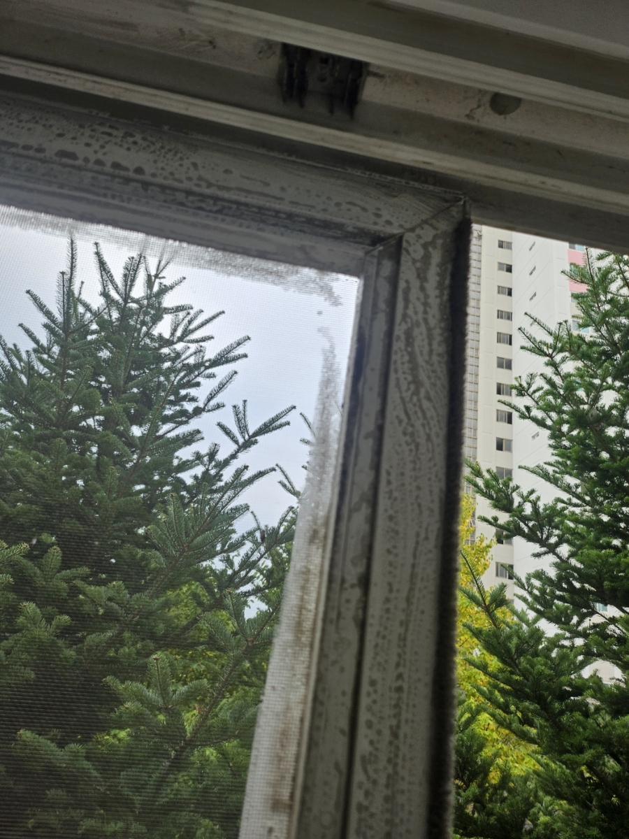 반석클린 이미지