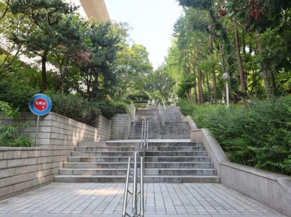 숲속의언어교육원 이미지