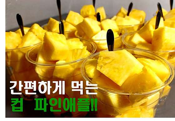 응구네 이미지