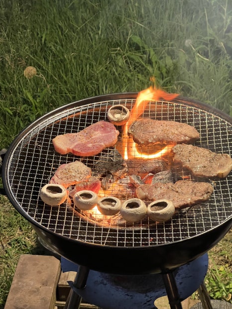 블로꼬 이미지