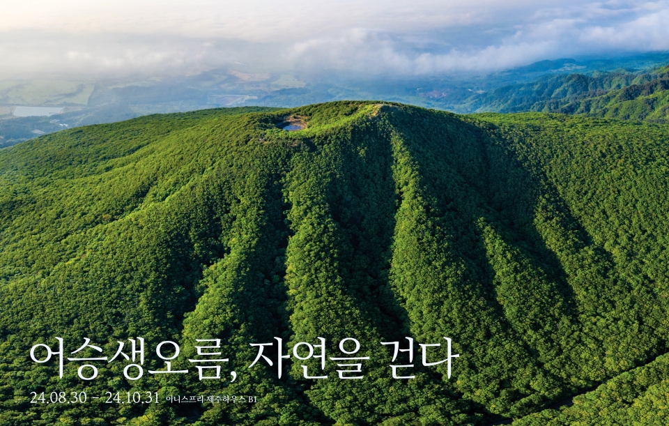 오름미디어 이미지