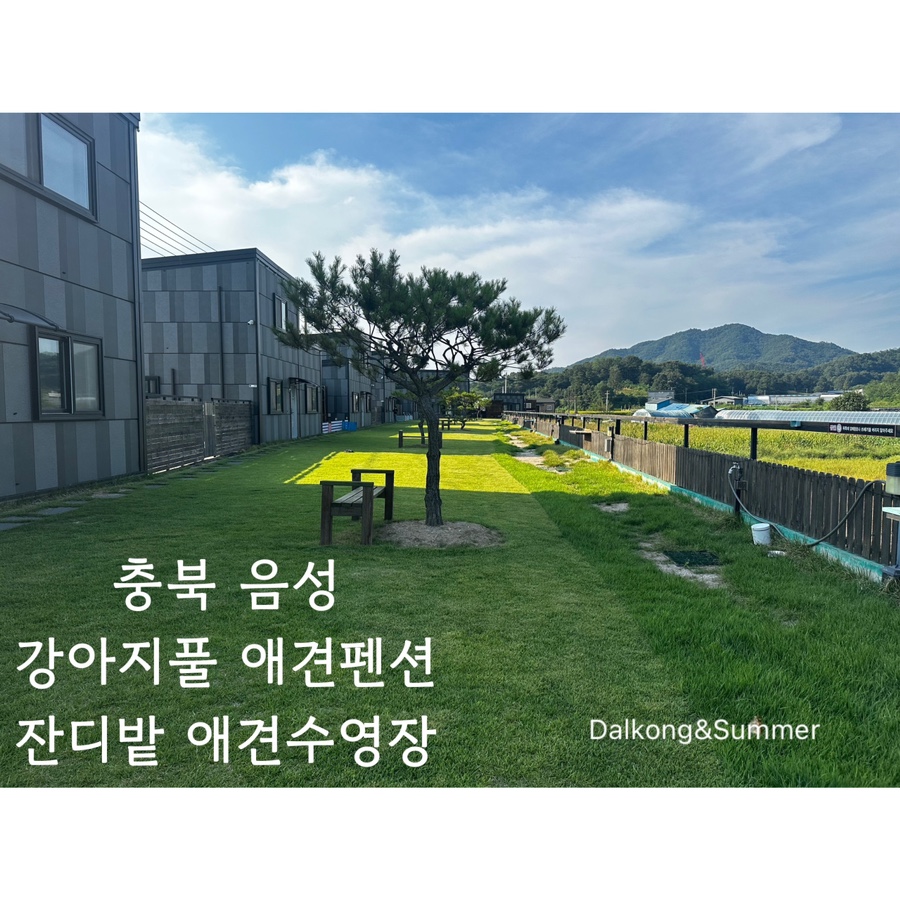 강아지풀애견펜션 이미지